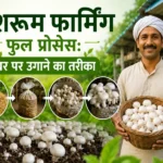 ghar par mushroom farming aur compost banane ka easy tarika