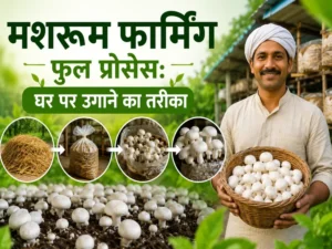 ghar par mushroom farming aur compost banane ka easy tarika