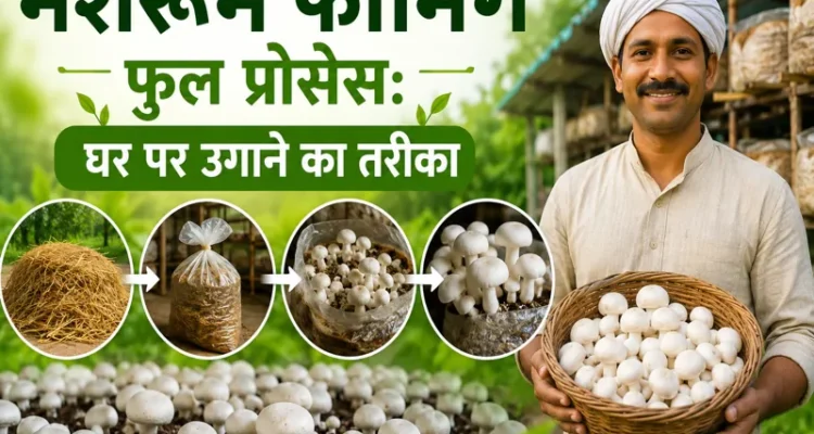 ghar par mushroom farming aur compost banane ka easy tarika