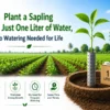 Tree planting with one liter water saving farming technique