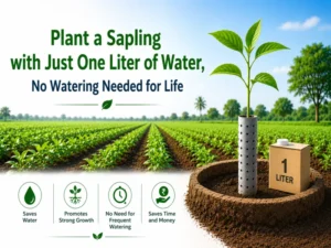 Tree planting with one liter water saving farming technique