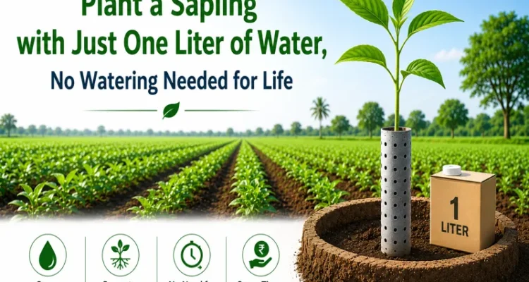 Tree planting with one liter water saving farming technique