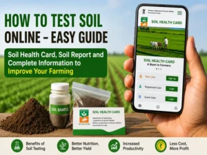 Farmer checking farm soil test report online in India