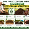 How to make organic vermicompost from cow dung in 30 days guide
