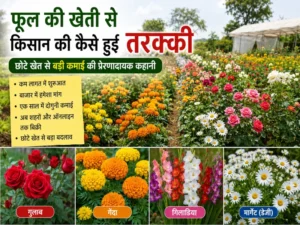 Chhote khet me phool ki kheti se safal aur ameer bana kisan