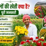 Phoolon Ki Kheti Kya Hai Lagat Kamai Aur Safal Kheti Guide
