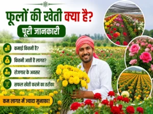 Phoolon Ki Kheti Kya Hai Lagat Kamai Aur Safal Kheti Guide