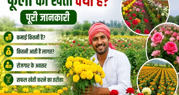 Phoolon Ki Kheti Kya Hai Lagat Kamai Aur Safal Kheti Guide