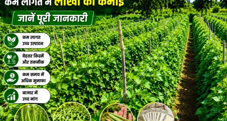 Sem ki unnatt kheti se kam lagat me lakho ki kamai guide