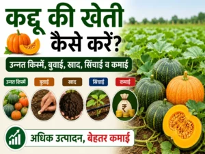 Kaddu Ki Kheti Kaise Karen - Unnat Kisme, Buwai, Khad Aur Sinchai