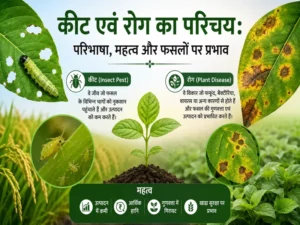 Keet Evam Rog Ka Parichay, Paribhasha Aur Fasal Par Prabhav