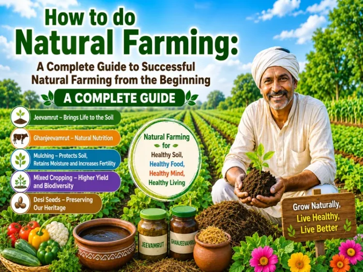 Natural Farming Complete Guide