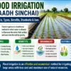 Flood Irrigation method in agriculture showing water flow across a field