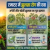Tamatar me jhulsa rog ki dawa aur early late blight ka ilaj