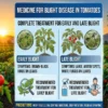 Tomato blight medicine for early and late blight disease treatment