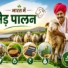 Bharat mein bhed palan, bhed ki nasl, aahar aur kamai