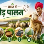 Bharat mein bhed palan, bhed ki nasl, aahar aur kamai