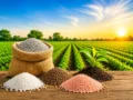 Fertilizer Prices in India 2026: Urea, DAP, NPK and MOP