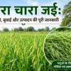 hara chara jai ki kheti