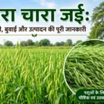 hara chara jai ki kheti