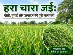 hara chara jai ki kheti