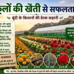 Phoolon ki kheti se safalta ki or badhte Bundi ke kisan