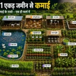 Sirf 1 acre jameen se kamai ke 15 raaste aur integrated farming plan
