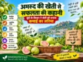 Amrud ki kheti se safalta, Bundi ke kisan Omprakash Verma ka bag