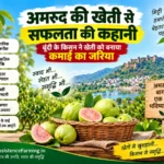 Amrud ki kheti se safalta, Bundi ke kisan Omprakash Verma ka bag