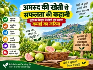 Amrud ki kheti se safalta, Bundi ke kisan Omprakash Verma ka bag
