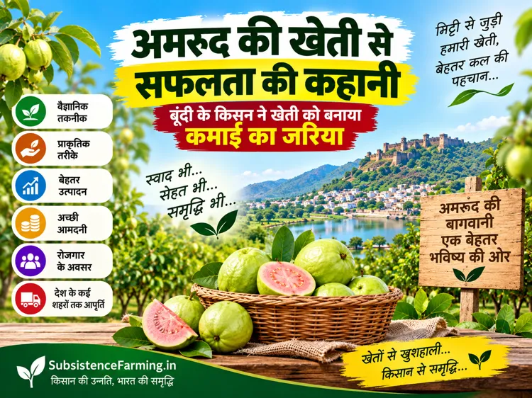 Amrud ki kheti se safalta, Bundi ke kisan Omprakash Verma ka bag