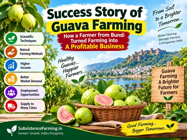 Guava farming success story of a successful Bundi farmer