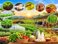 Bharat mein kheti se kamai ke 15 behtareen krishi business ideas 2026